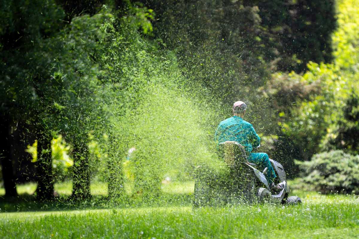 The Basics of Lawn Maintenance Every Homeowner Should Know