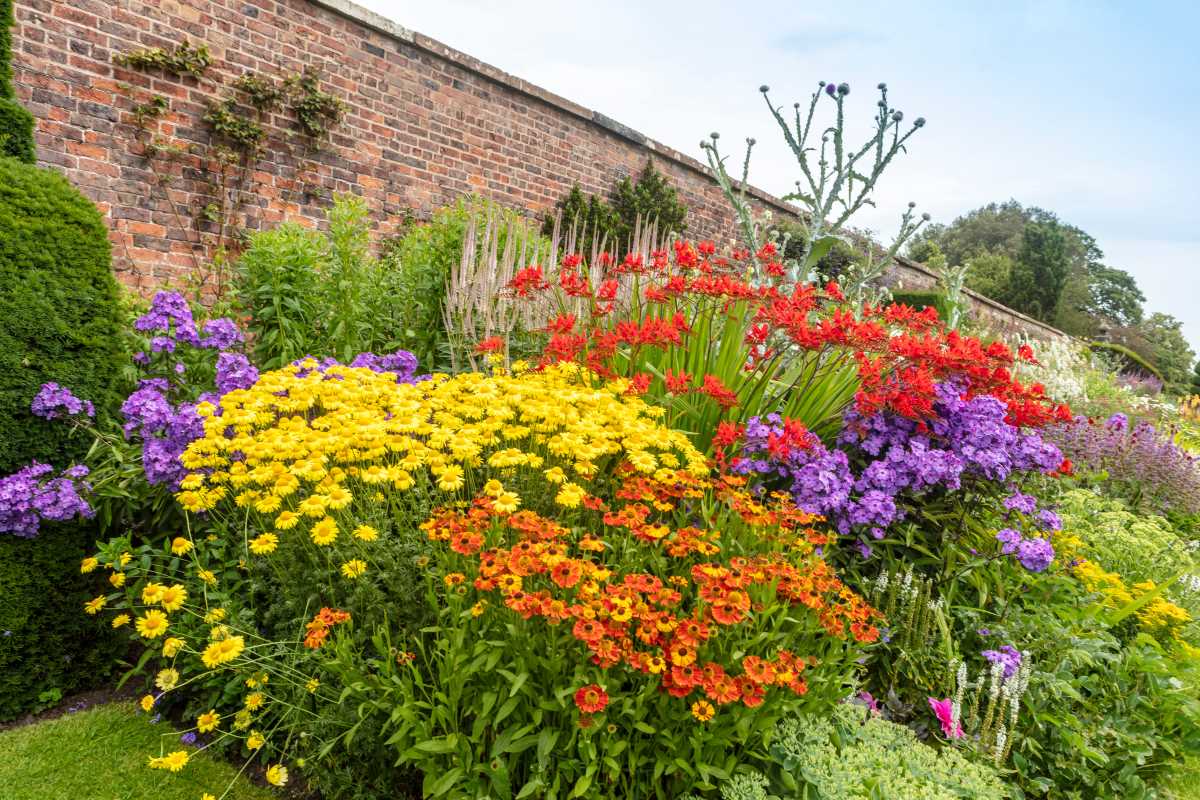 The Easiest Perennials for a Low-Maintenance Garden