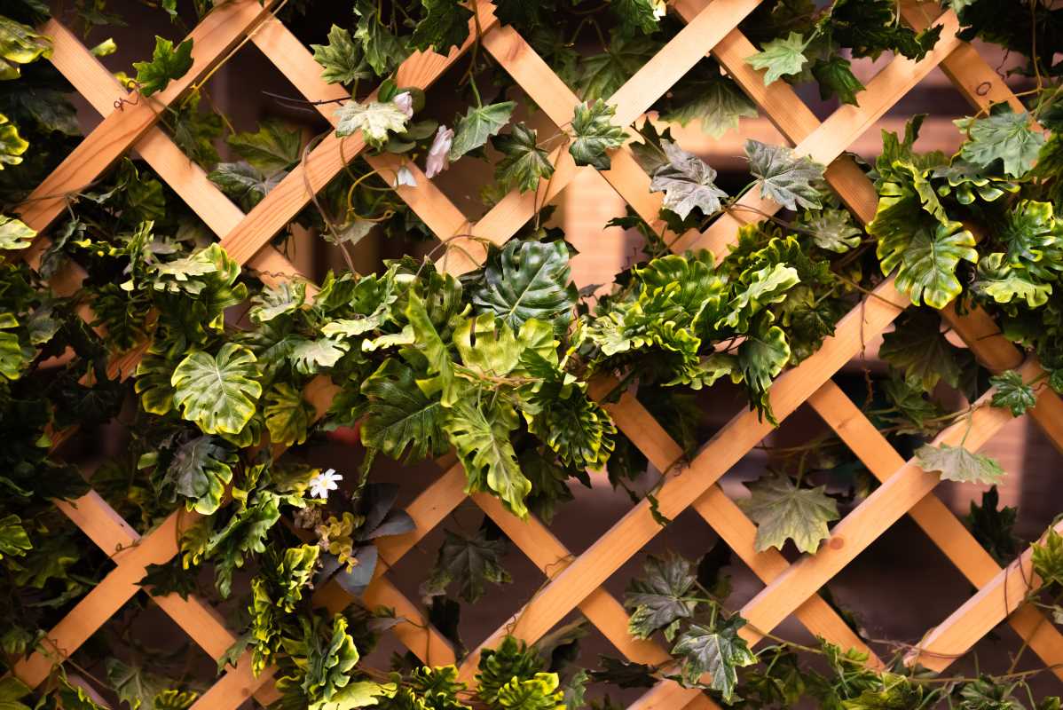 How to Build a DIY Trellis with Rustic Charm