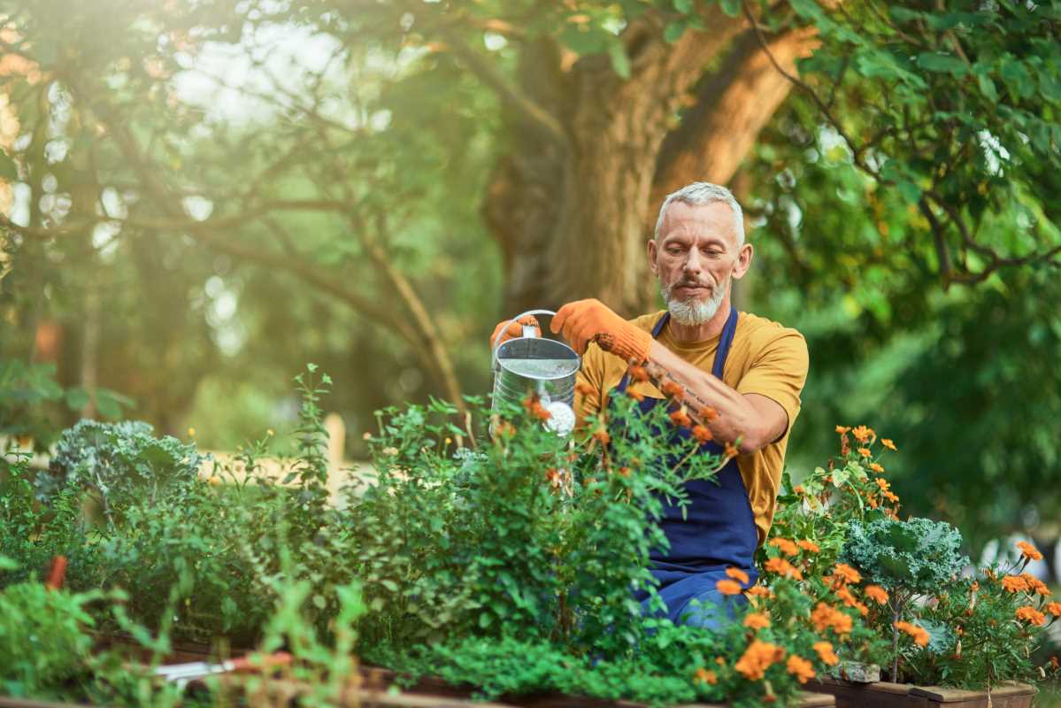 Gardening Hacks That Make Your Backyard Thrive Year-Round